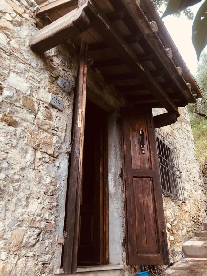 Mea Casa Toscana Castellina in Chianti Εξωτερικό φωτογραφία