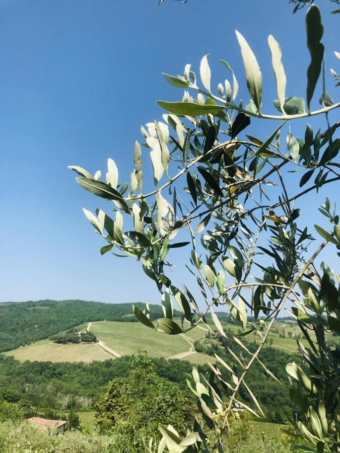 Mea Casa Toscana Castellina in Chianti Εξωτερικό φωτογραφία