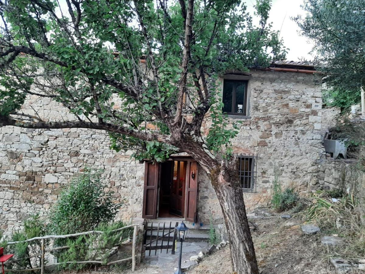 Mea Casa Toscana Castellina in Chianti Εξωτερικό φωτογραφία